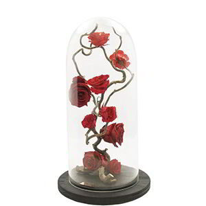 Cupola-personalizata-trandafiri-criogenati-esteto